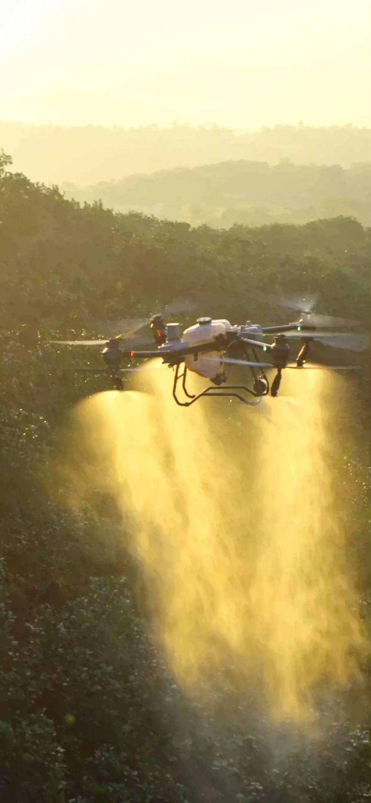 DJI Agras agricultural spraying drone over a South African farm